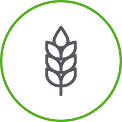 AgTech